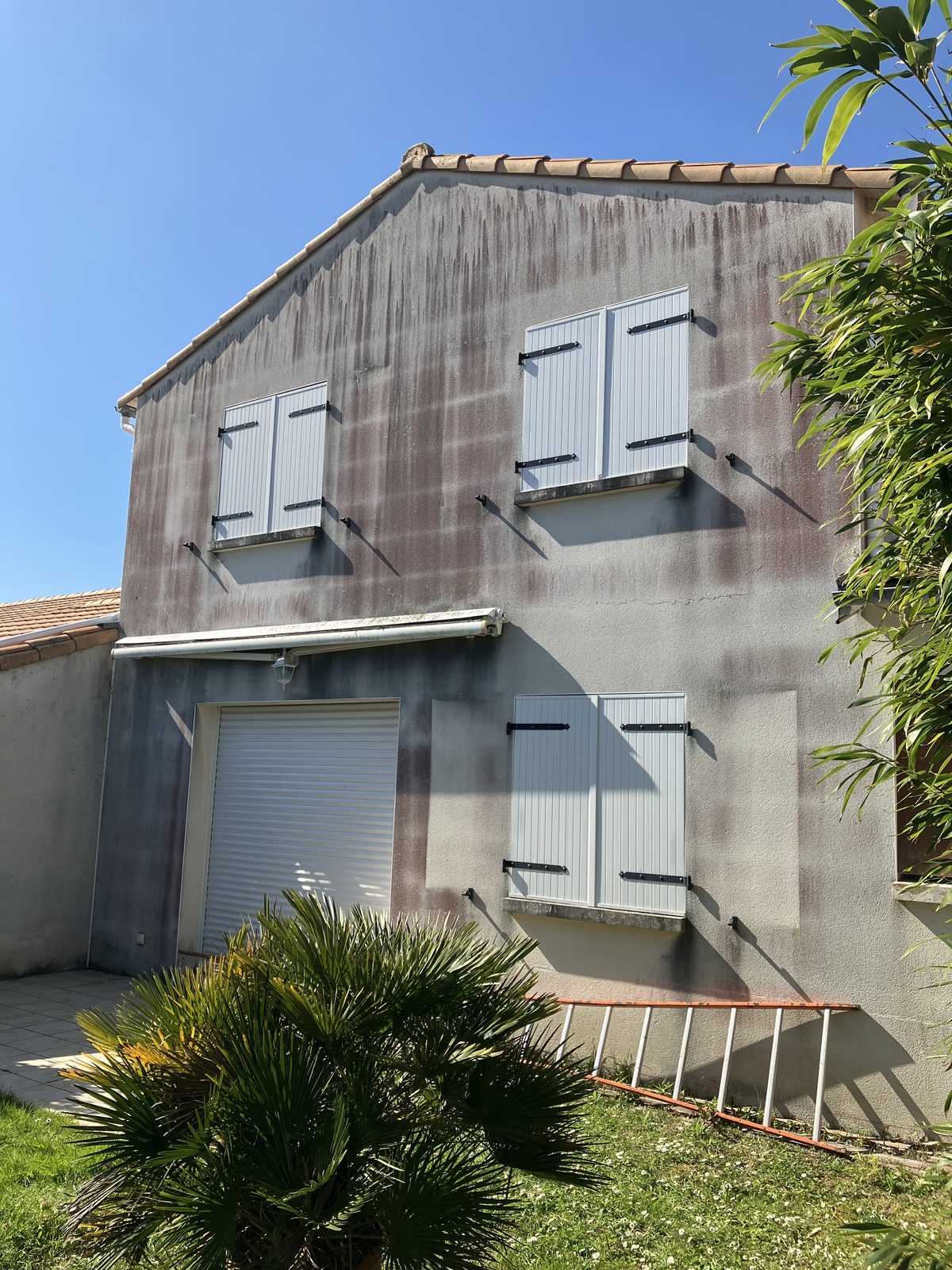Façade avant nettoyage — traces de mousses et coulures noires sur enduit clair